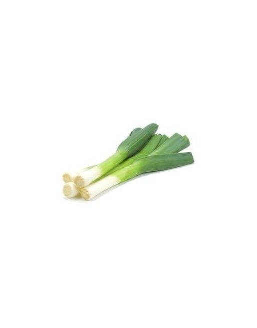 AJO DE PORRO KG