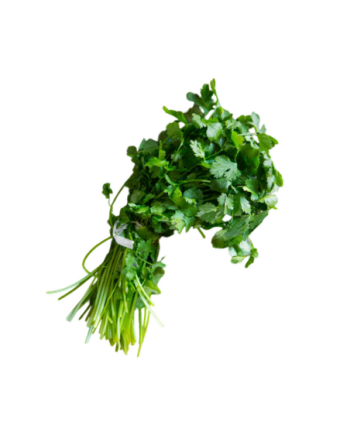 CILANTRO KG