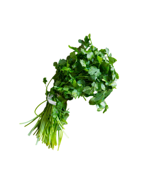CILANTRO KG