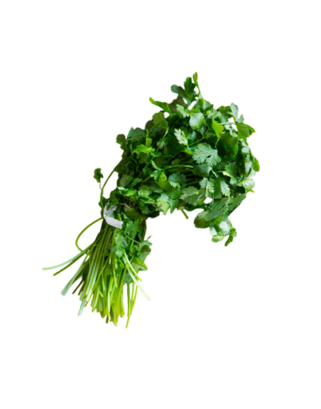 CILANTRO KG
