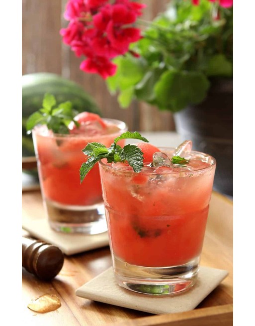 COSTERO WATERMELON MINT