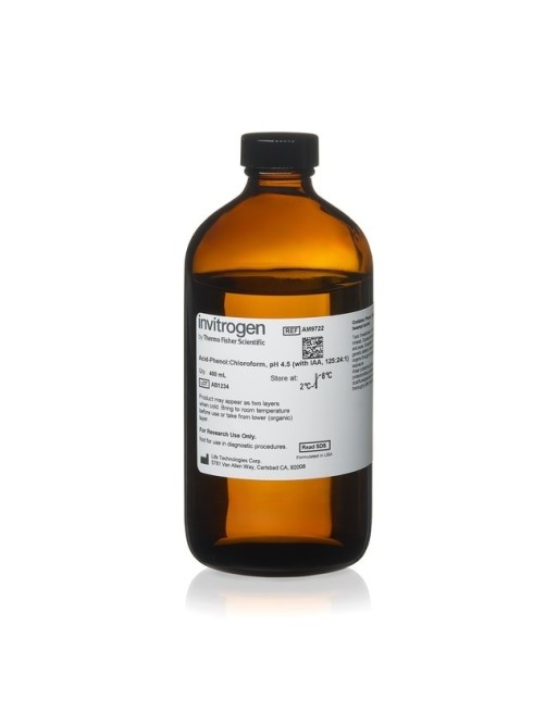 DIPROMON CLORO 1LT