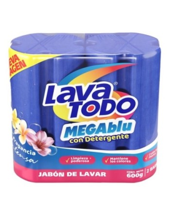 HAY PLUS LAVATODO MULTIUSO 480G