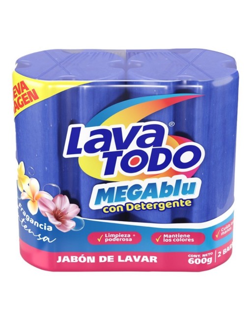 HAY PLUS LAVATODO MULTIUSO 480G