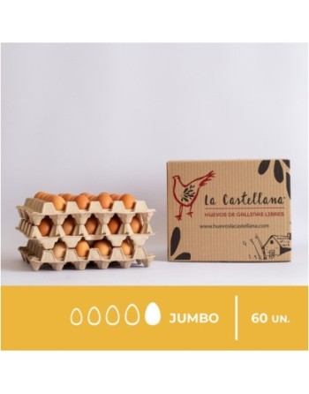 HUEVOS GALLINA TIPO JUMBO