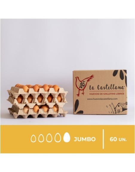HUEVOS GALLINA TIPO JUMBO