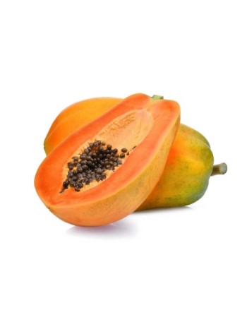 LECHOZA KG