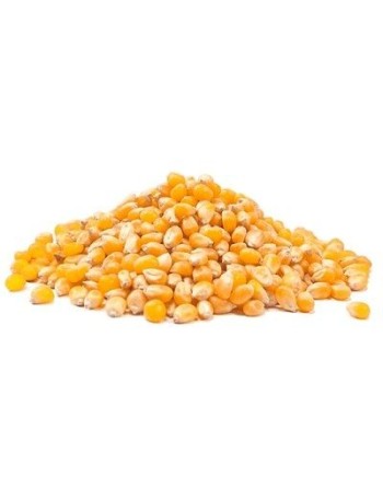 MAIZ COTUFA GRANEL X KG
