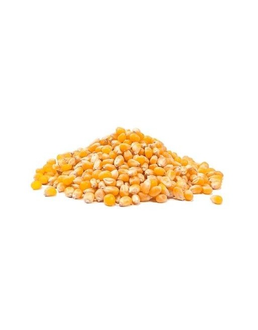 MAIZ COTUFA GRANEL X KG