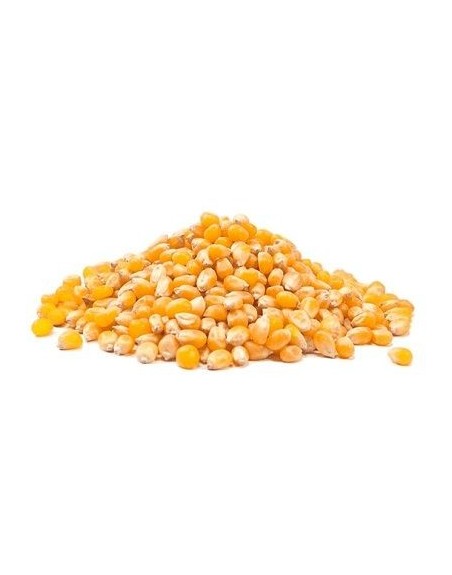 MAIZ COTUFA GRANEL X KG