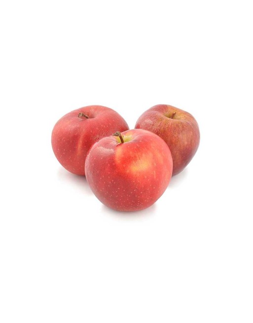 MANZANAS XUND