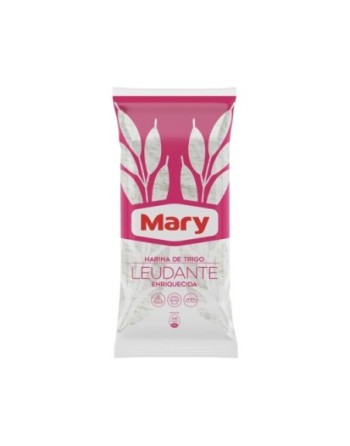 MARY HARINA DE TRIGO LEUDANTE X2OKG