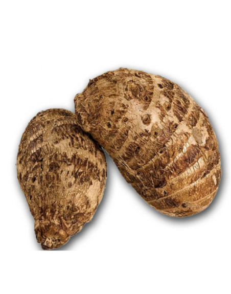 OCUMO KG
