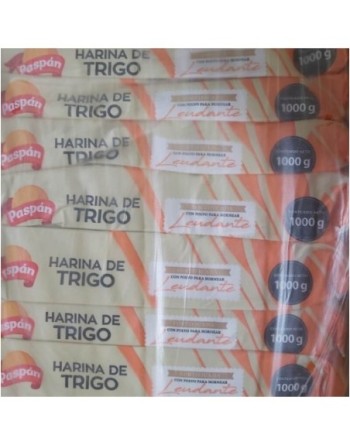 PASPAN HARINA TRIGO X 20 BULTO