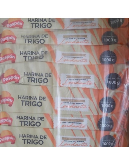 PASPAN HARINA TRIGO X 20 BULTO