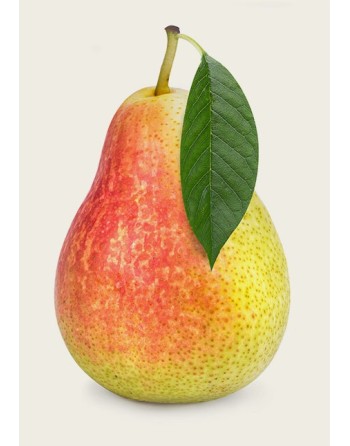 PERA FRUTA UND