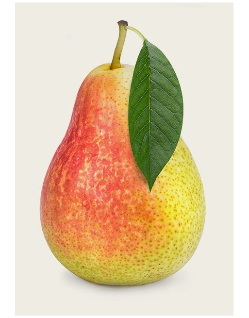 PERA FRUTA UND