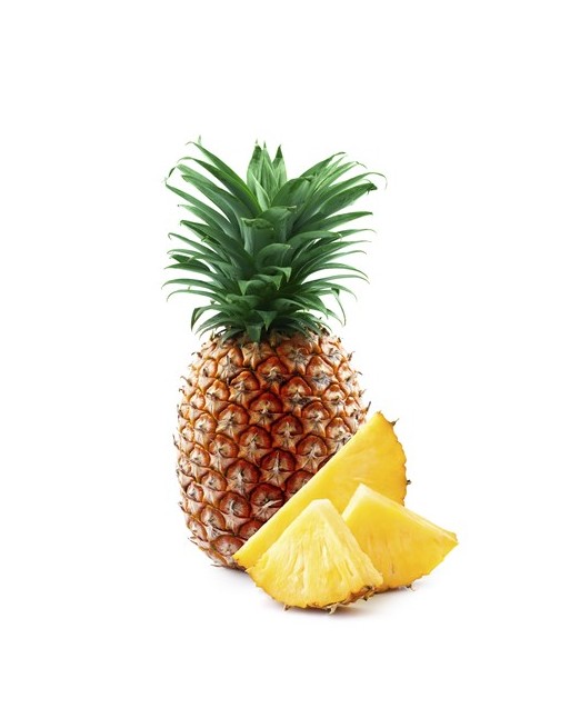 PIÑA