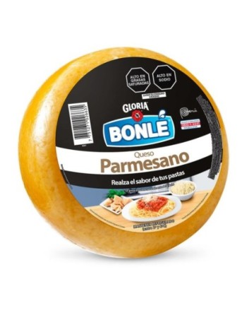 QUESO PARMESANO X KG