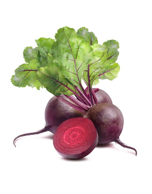 REMOLACHA XKG