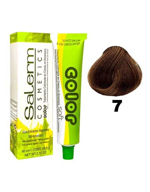 SALERM COSMETICS SIN AMONIACO 58.5G