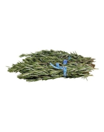 SALETINA ROMERO 30 G