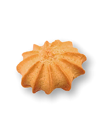 TRIGO ORO POLVOROSA X12