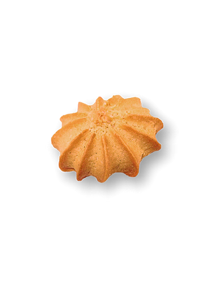 TRIGO ORO POLVOROSA X12