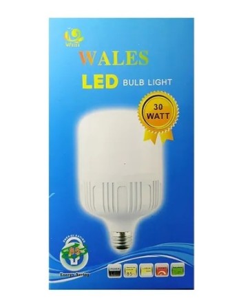 WALES LED BULB BOMBILLO 30W