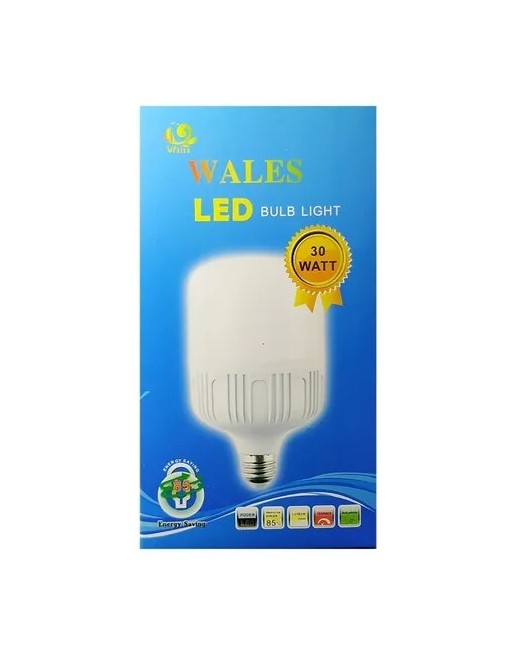 WALES LED BULB BOMBILLO 30W