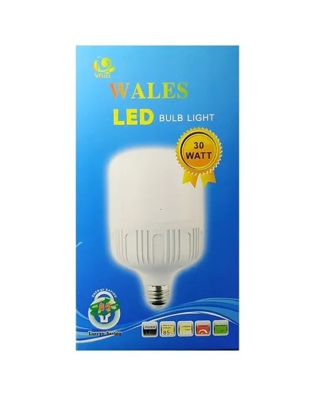 WALES LED BULB BOMBILLO 30W